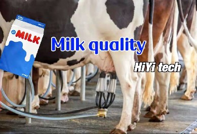 How the harm of mastitis milk and how to avoid breast cancer in cows