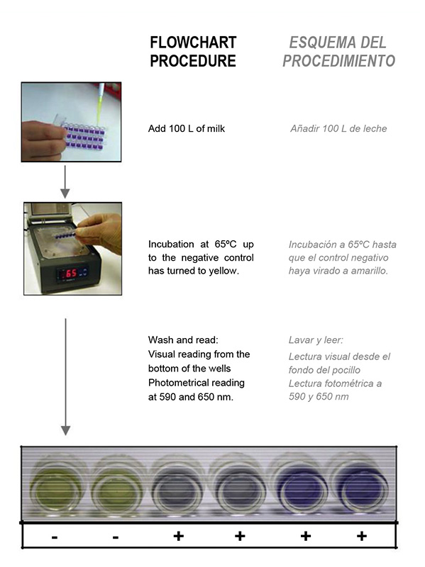 Eclipse 3G test kit – 96 tests-细节.jpg