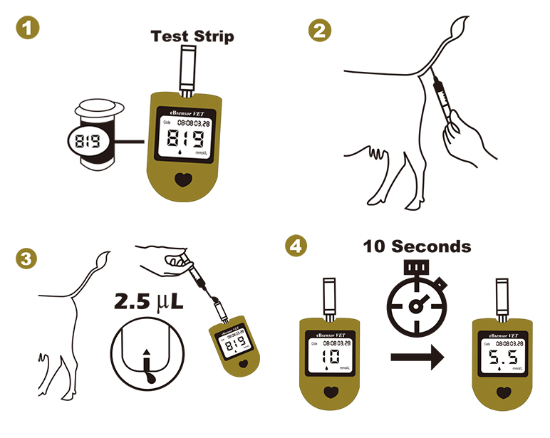 eBsensor-英文内容1.jpg